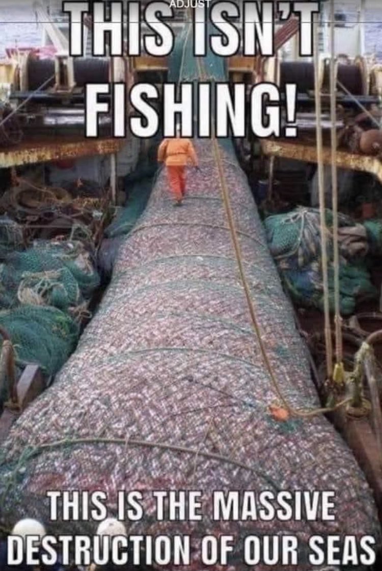 Lin11W's tweet image. 🤬🤬