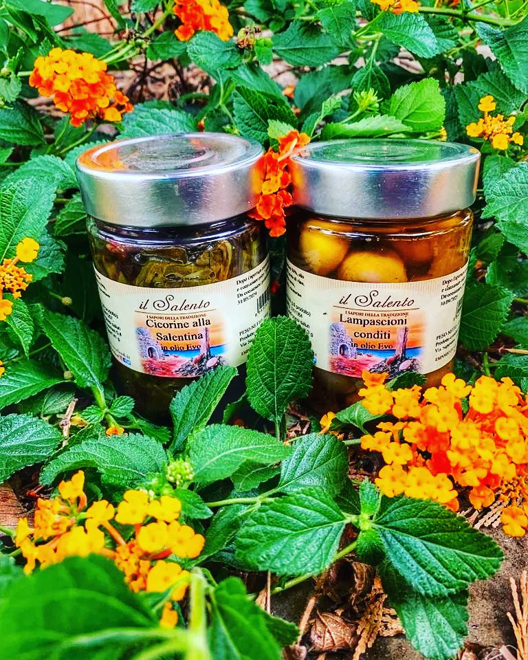ilsalentofood's tweet photo. ☁️Tempo uggioso? Tranquilli l'ora dell'aperitivo si avvicina: 🥳gustate i nostri prodotti tradizionali come le cicorine alla salentina 🌿e i lampascioni ☀️con #olioevobio trovate tutto sul nostro shop on line 🛒 https://t.co/qLzoZYnhiL 🛒 #tradizioni #food #foodporn #puglia https://t.co/Yof744221G