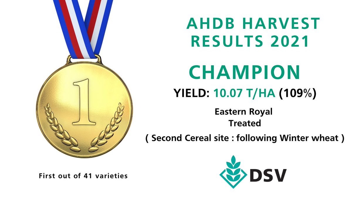 DSVUKSEEDS's tweet image. Another gold at a second cereal site this time. 
Eastern Royal in Wiltshire #wonderwheat #wheattobeat #pushingperformance #bustingbarns 
🍾🥇🦿🦾