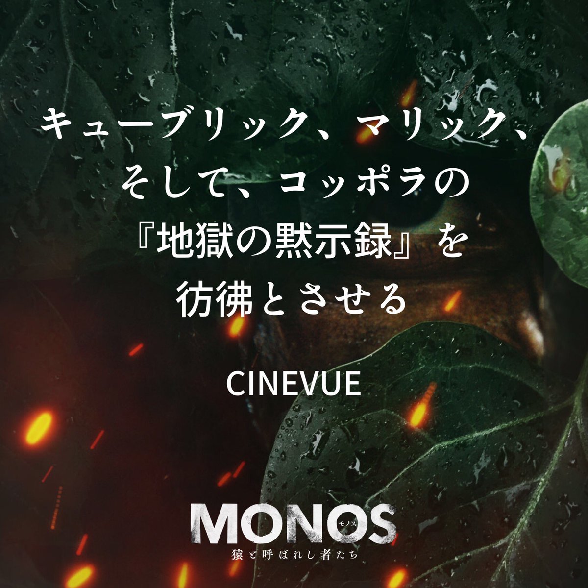 #MONOS猿と呼ばれし者たち
海外評🔥🦍🔥
￣￣￣￣￣￣￣
キューブリック、マリック、そして、コッポラの『地獄の黙示録』を彷彿とさせる。
ー CineVue