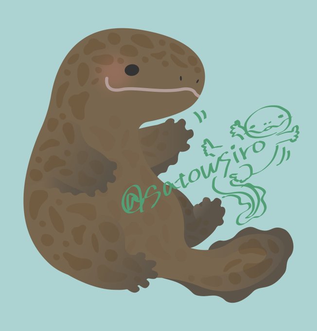 オオサンショウウオのtwitterイラスト検索結果 古い順