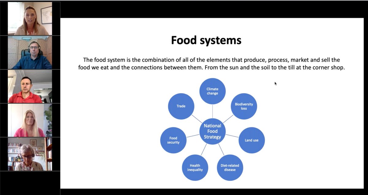 AzminaNutrition's tweet photo. #NFSDigested @MyNutriWeb webinar on the #NationalFoodStrategy https://t.co/bvM3C6Yj7A