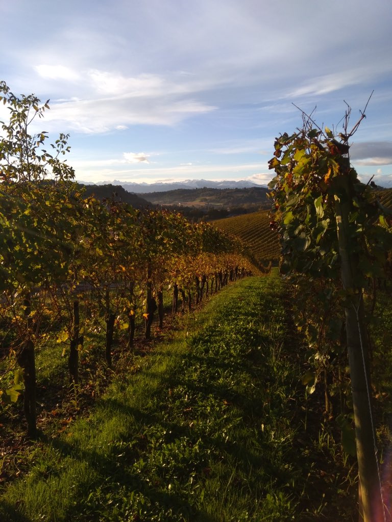 Sacré point de vue ! 🌄