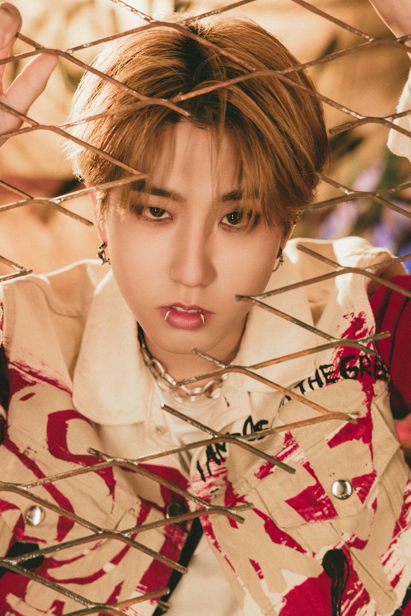 Stray Kids Japan Official on X: Stray Kids Japan Official on X: