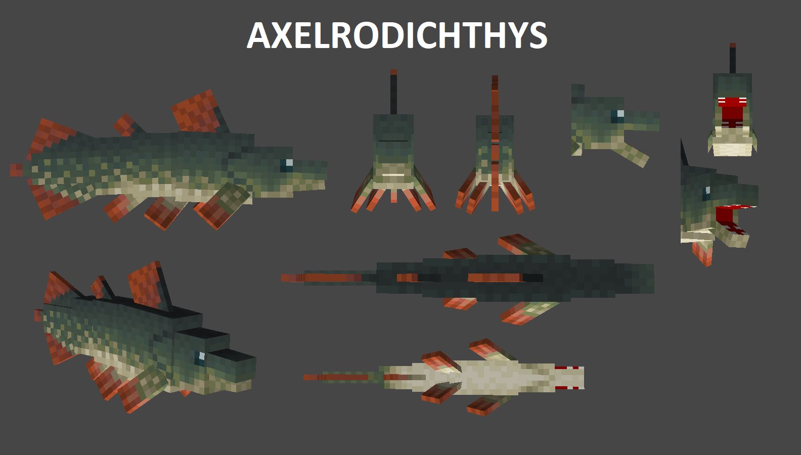 Fossils Revival Team on Twitter "When I mentioned that Tote has been