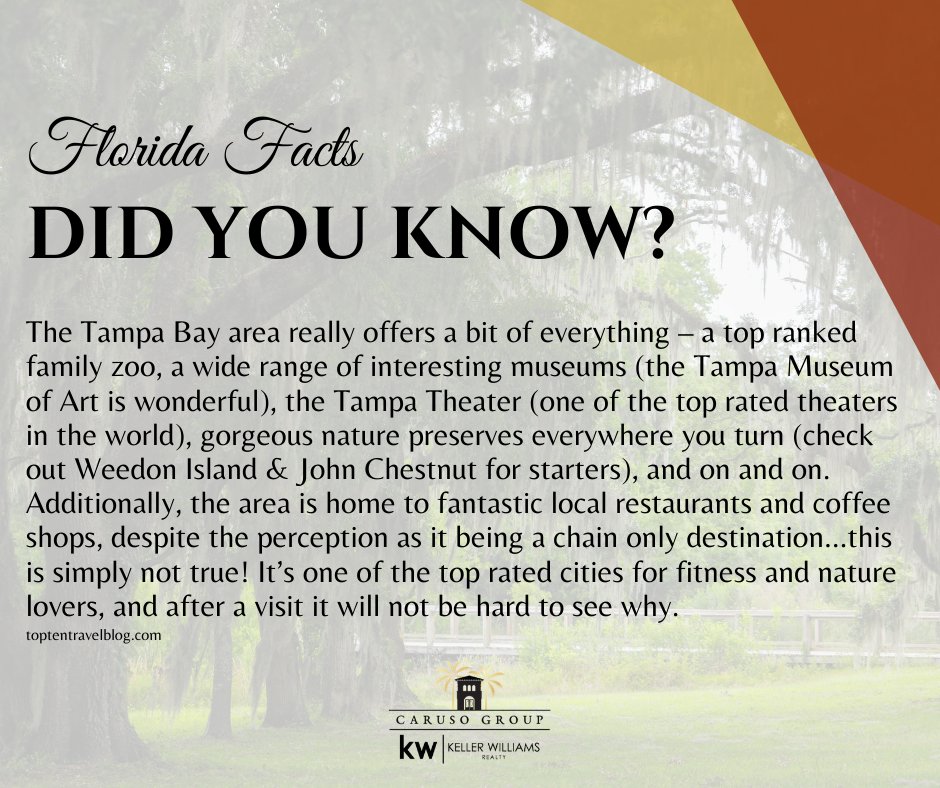 Florida has much much more than just beaches and theme parks…though, those are great too!
What are your favorite parks in the Tampa area?
carusogroup.net
Call☎️ or message📲 for a showing! (727) 410-7501
•
#floridafacts #movingsouth #floridatrails #floridaparks