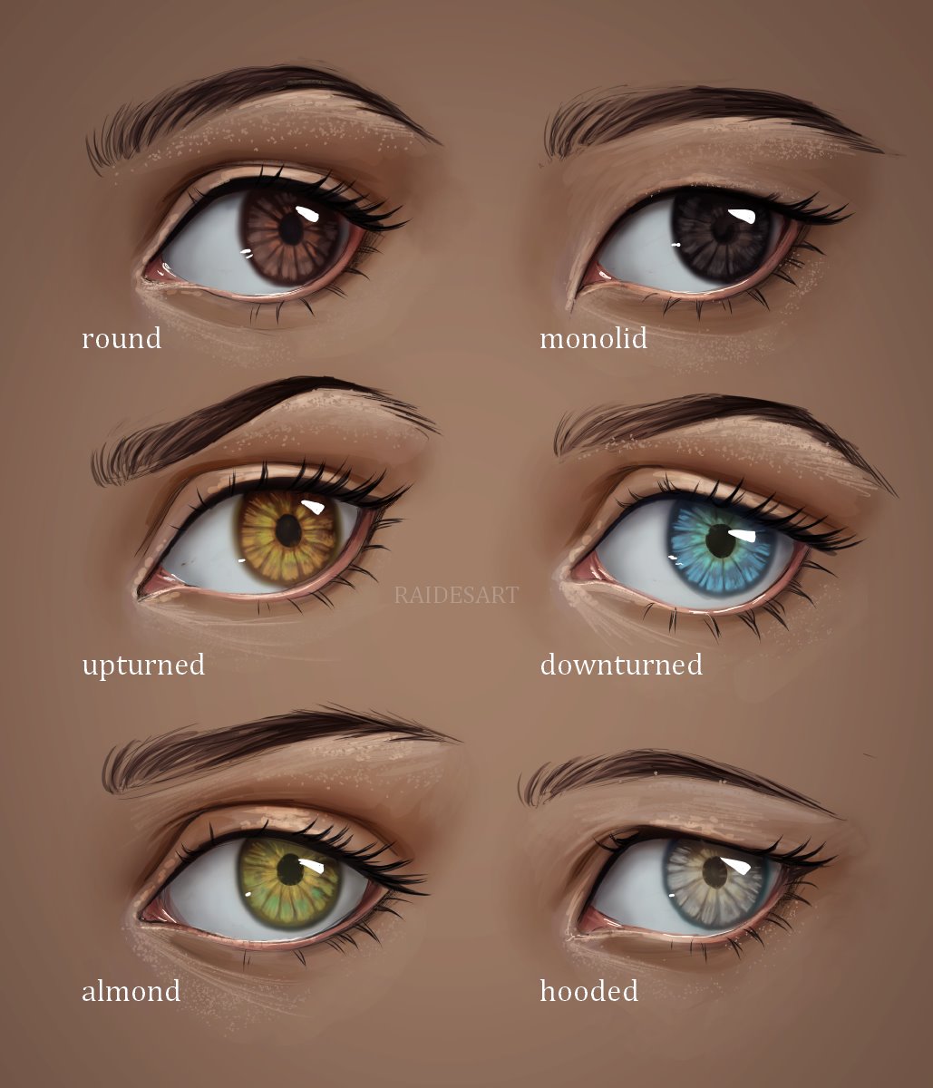 RaidesArt's tweet image. Which eye shape and / or colour most resembles yours? 💙 Let me know if you find this helpful! I had loads of fun making and simplifying these studies 😍
#eyetutorial #drawingtutorial #eyeshapes