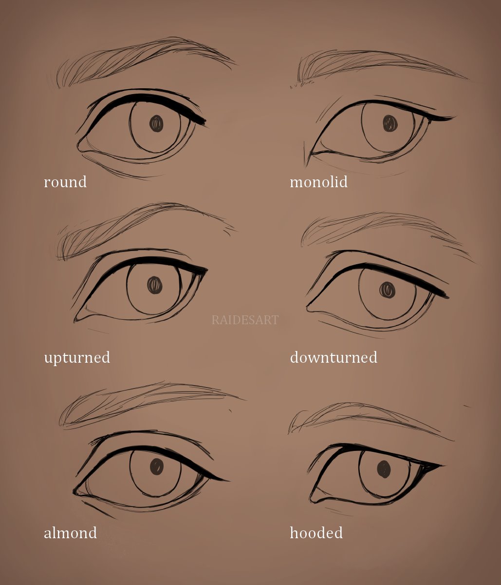 RaidesArt's tweet image. Which eye shape and / or colour most resembles yours? 💙 Let me know if you find this helpful! I had loads of fun making and simplifying these studies 😍
#eyetutorial #drawingtutorial #eyeshapes
