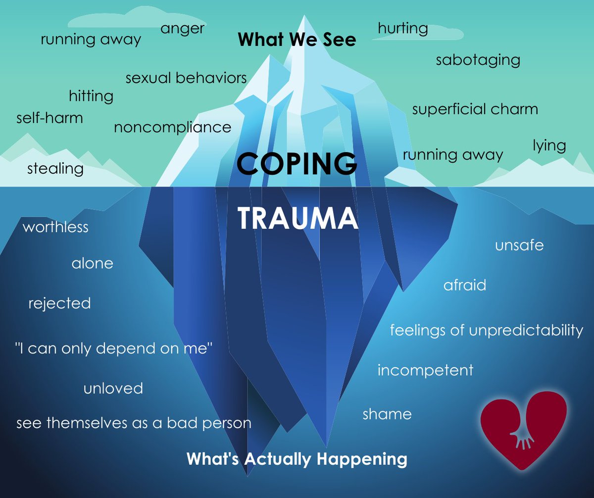 Students with trauma histories: 
What we see and what we don't see...
Source: <a href="/attachtrauma/">ATN</a>