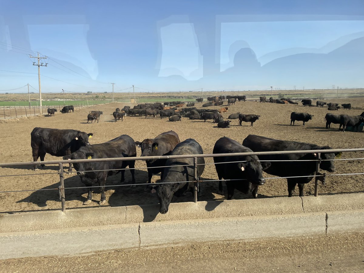 Jeff Chandler tweet media