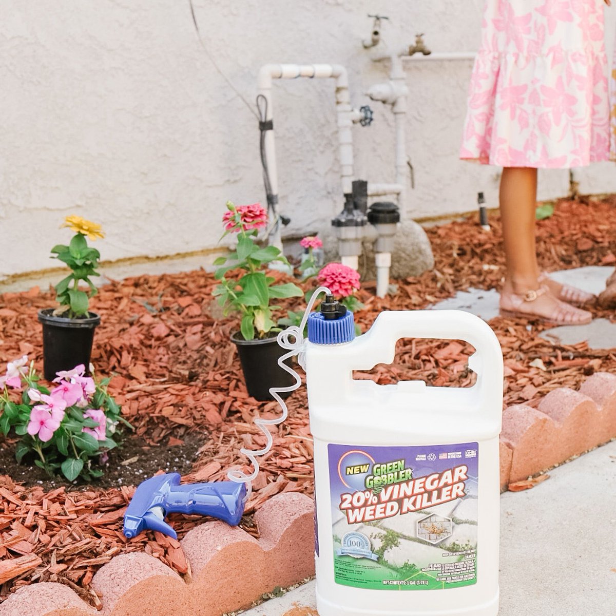 greengobbler's tweet photo. This season we partnered with Maggie of @JetPlaneMommy for tips on how to get kids involved in gardening. Read all about it: https://t.co/mbR7izihcY
📸: @JetPlaneMommy https://t.co/H5mScpHirF