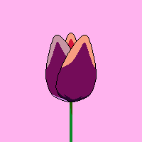 Is this the real life? Is this just #nft?

Mint these crazy #tulips at maniatulips.io now before they sell out! Join the tribe at discord.gg/PfTCFwramh

#ethereum #NFTCommunity #NFTdrop