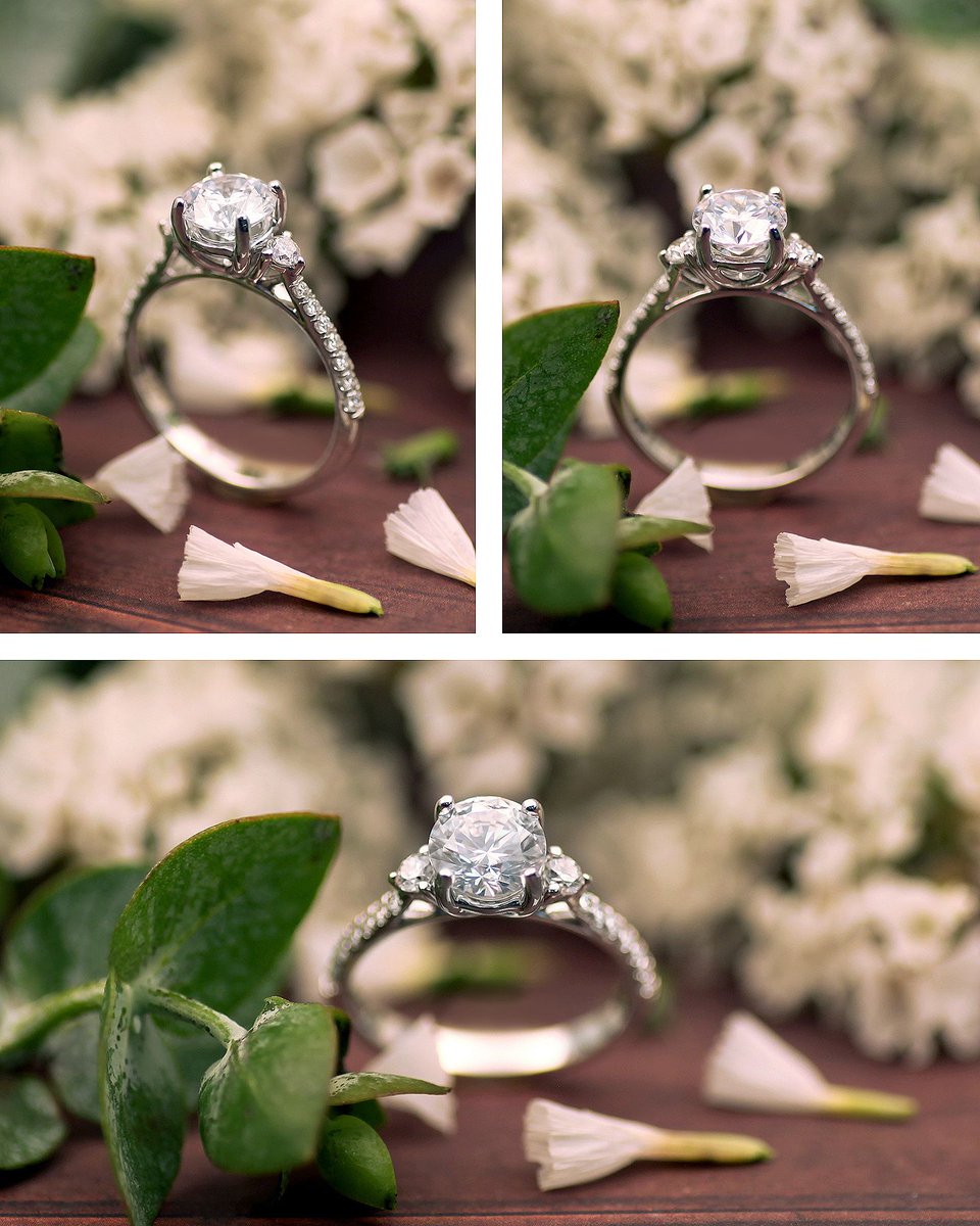 CoastDiamond's tweet image. A graceful classic that stands the test of time, this elegant three-stone ring is accented by intricately set diamonds on the shank. #showyourcoast

Style No. LC5262
-
-
-
-
-
-
#gracefulring #diamondsetting #lovestory #gettingmarried