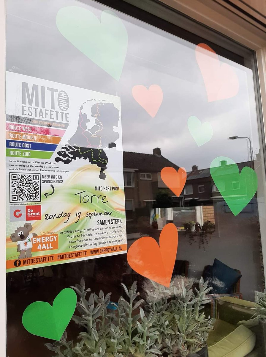 Zondag 19 september komt Zoey uit Heerhugowaard het mito-stokje bij ons brengen. Team #Forza4Torre brengt het stokje naar Sterre in Assendelft. Dit alles om energiestofwisselingsziekten onder de aandacht te brengen en om geld op te halen voor de ontwikkeling van een medicijn!