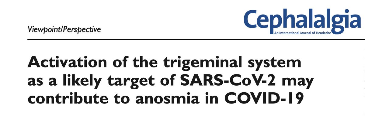 JCephalalgia's tweet image. New online first @JCephalalgia #Covid_19 #trigeminal #headache @ihs_official Clinical publications show consistently that headache is a common symptom in the coronavirus disease of 201. @arne_may