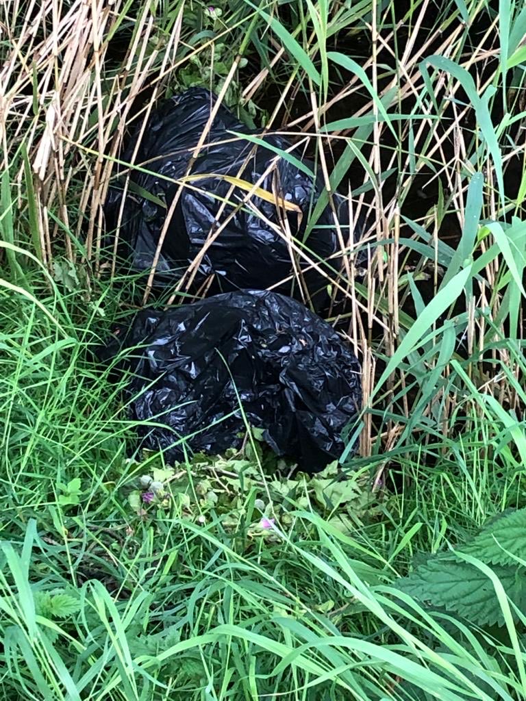 Ini (@ragnarhundir) on Twitter photo 