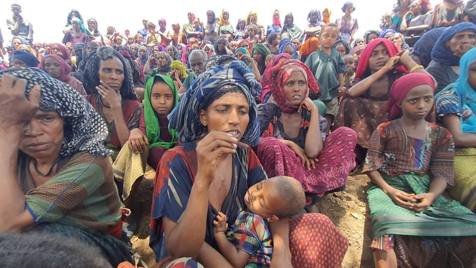 MOusmanova's tweet photo. The increasing number of people going hungry in TPLF invaded Amhara should shock us all into action. Children, women&amp; elders will die w/ every day that passes w/o effort. #AidForAmharaIDPs 
@WFP 
@WFPChief 
@UNICEF 
@UNOCHA 
@OCHA_Ethiopia 
@Reuters 
@AJEnglish 
@BBCBreaking https://t.co/hfyrLktTVm