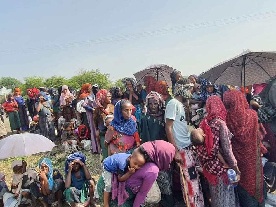 MOusmanova's tweet photo. The increasing number of people going hungry in TPLF invaded Amhara should shock us all into action. Children, women&amp; elders will die w/ every day that passes w/o effort. #AidForAmharaIDPs 
@WFP 
@WFPChief 
@UNICEF 
@UNOCHA 
@OCHA_Ethiopia 
@Reuters 
@AJEnglish 
@BBCBreaking https://t.co/hfyrLktTVm