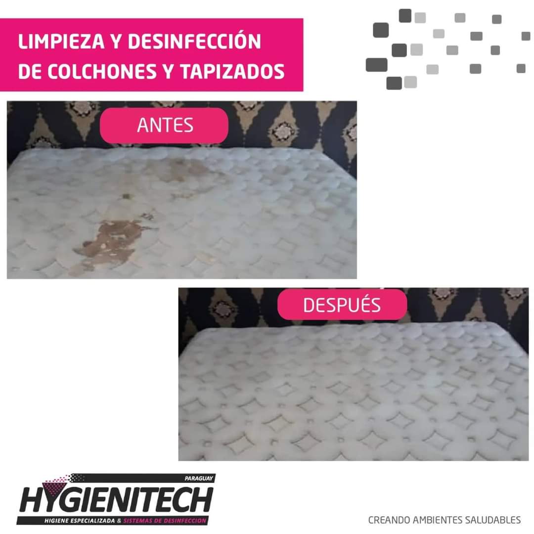 HygienitechPy's tweet photo. Colchones como nuevos con poca inversión‼️

Evite las alergias y otras enfermedades con una limpieza profesional ✨

Eliminamos ácaros, virus, bacterias, hongos, manchas y olores.

Contáctenos al 📲0981424621 o déjenos su número para un presupuesto personalizado. https://t.co/iHE7WpjplL