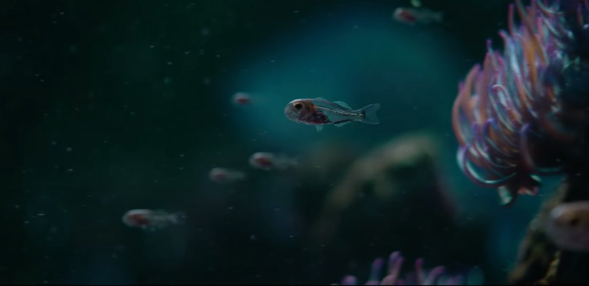 HP believes if we just think harder, we might find the solution to the hardest problem of all: how to save the planet. Check out the video! youtube.com/watch?v=T80c_I… via HP #HP #Sustainability #SustainableImpact #ParallelLives