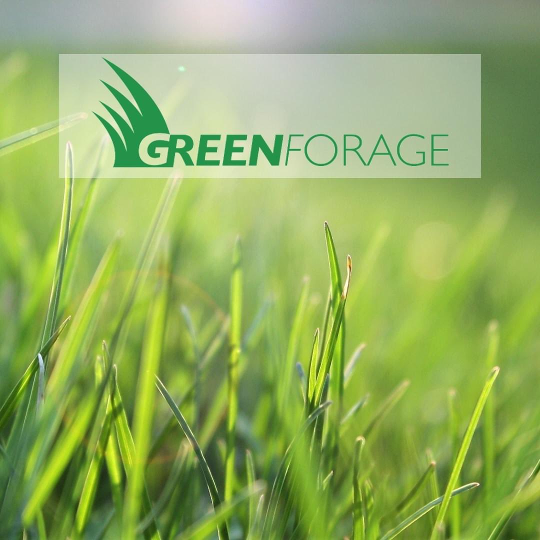 Make the most of your grass. Cut, cart and deliver it directly to cows 👍
#grassasfeed #zerograzer #teamdairy
👉 greenforage.co.uk/zero-grazing-f…