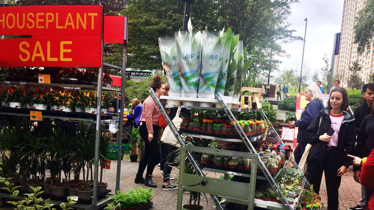 StrathUnion's tweet image. 🌵🪴 The Houseplant Market is back today at Rottenrow Gardens

🕙 10.00 - 19.00