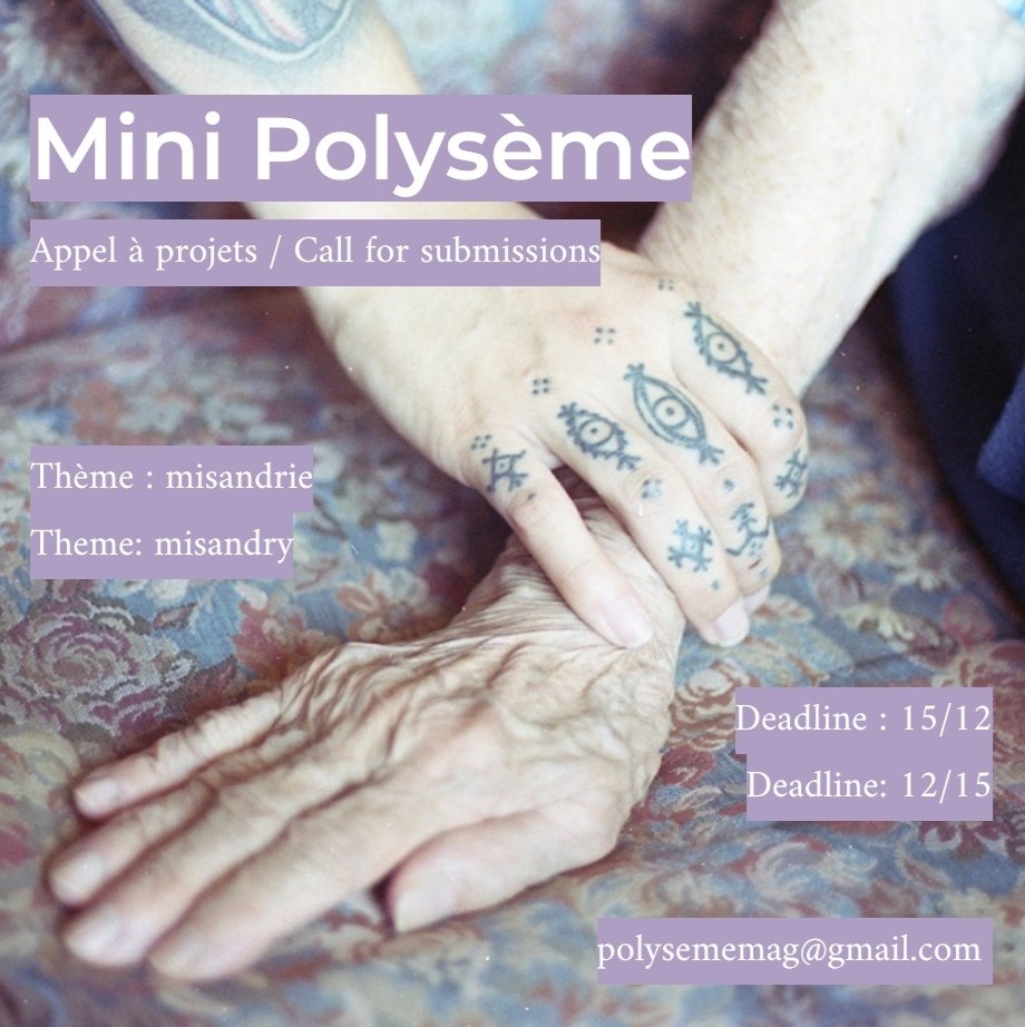 Nouvel appel à projets sur Polysème sur la #misandrie ⚡