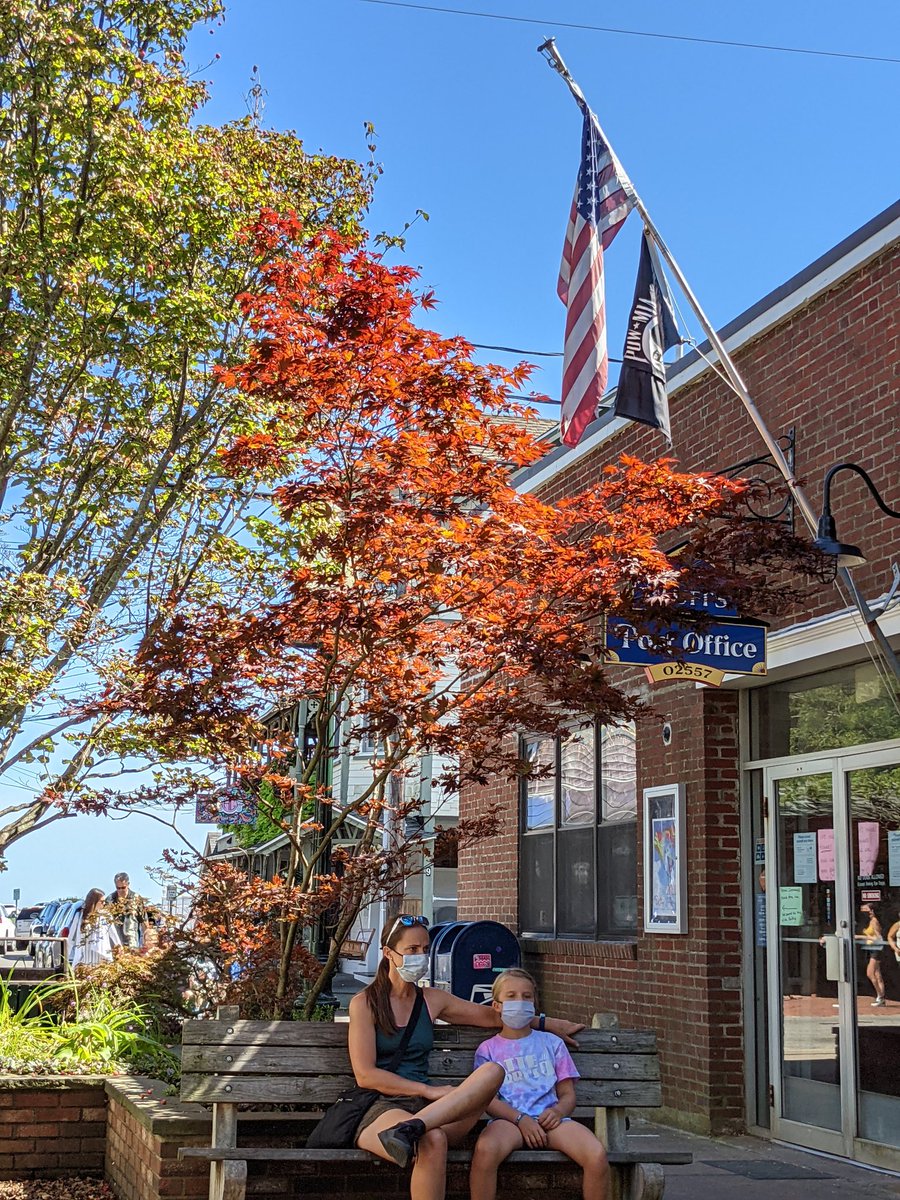 lezpilot's tweet image. Martha's Vineyard