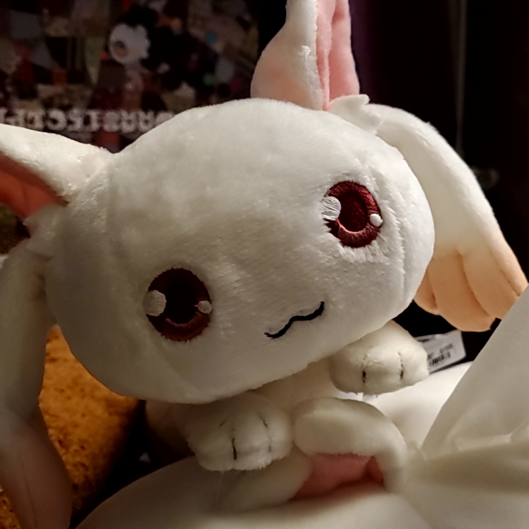 でじあっき 雑談 マギレコ の 小さなキュゥべえくたくたぬいぐるみ が キューブから発売に 駿河屋 の通販にて予約購入 前作に当たる キュゥべえくたくたぬいぐるみ と 大きさは粗同じだけど ぬいぐるみとして見たら タオルケットの