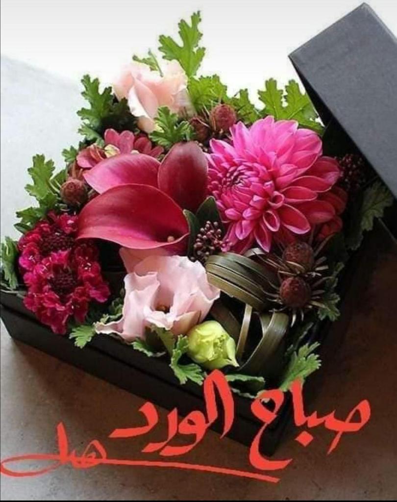 Shanbsa's tweet photo. @Hawi_94 https://t.co/DDuQofLsAT