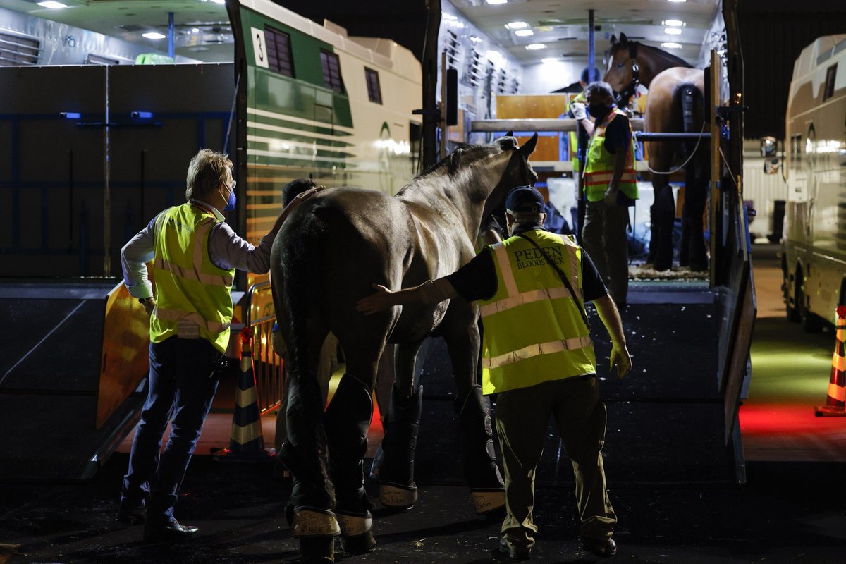 Maryann Simson (@jetwaymj) on Twitter photo On Sept 2, EK 9497 - an <a href="/emirates/">Emirates</a> #Boeing777 freighter carrying 40 #horses from <a href="/hanedaairport/">haneda</a>  landed @LGGLiegeAirport. Was the last of 16 SkyCargo flights transporting #olympic ponies between the cities & one of the largest horse charter movements in air transport history 🐴 On Sept 2, EK 9497 - an <a href="/emirates/">Emirates</a> #Boeing777 freighter carrying 40 #horses from <a href="/hanedaairport/">haneda</a>  landed @LGGLiegeAirport. Was the last of 16 SkyCargo flights transporting #olympic ponies between the cities & one of the largest horse charter movements in air transport history 🐴