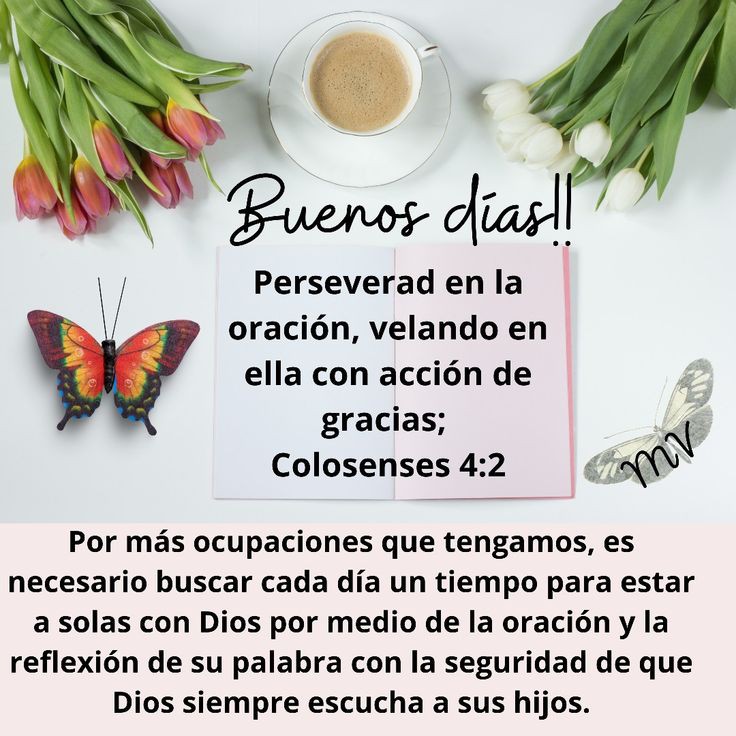 IsamarMontes's tweet photo. Buenos días!! 🙏🏻🙇🏻‍♀️♥️🌤️🌿🌷☕ https://t.co/Nta68dKXwy