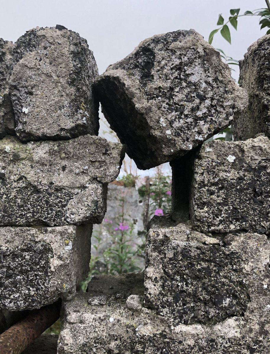 Rosehill_girl's tweet photo. Tha coul wun a’tha bak en o’tha yeir gies taak tae tha stanes an’ cairries yairns o’th’oul fairm. 

#newwurds #amwriting #ulsterscots #poet @UlsterScotsAgen @theulsterfolk @USCN1 @fairfaaye @HurchinHome https://t.co/SsmgdfirTI