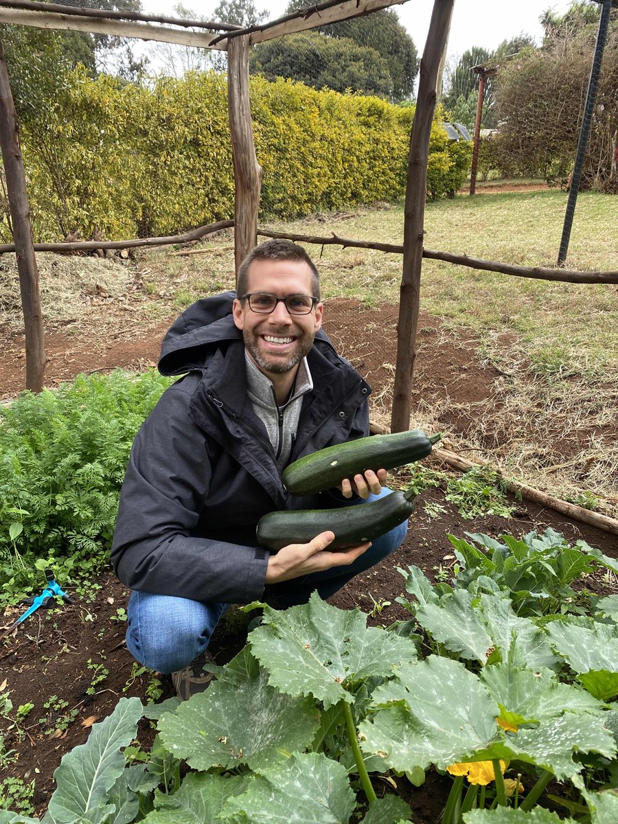 kenyaoperate's tweet photo. Our first harvest!! A few days later we had the most amazing (REAL) spinach salad! #farmers #shambalife #stillwinter https://t.co/d9v2HjHH3k