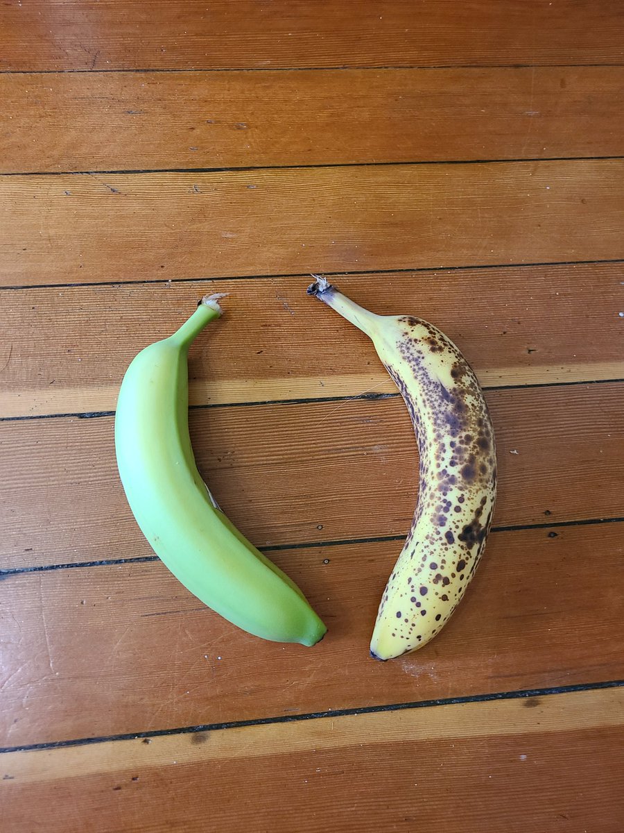 🔴 Live 24/7 | TheBudLab 🍁 tweet media