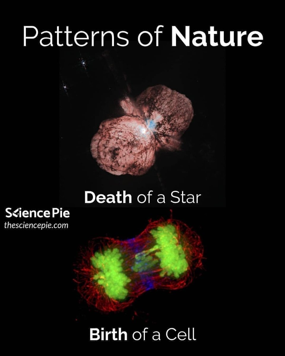 Chantal Berry (ChantalBerry8) Twitter