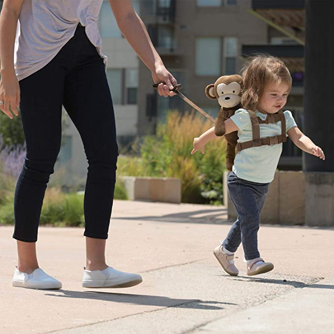 StanfieldBeckyD's tweet photo. @daveregrets Baby leash? https://t.co/EJ3U9rjzyL