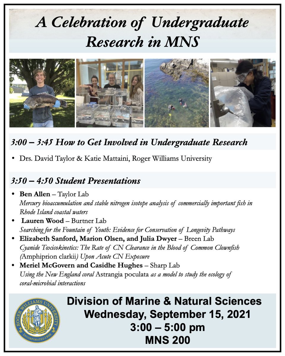 Join us today, Wednesday, 3 PM in MNS 200 for a Celebration of Undergraduate Research in MNS! Drs. Taylor and Mattaini will present on how to get involved in research, then we will hear about research projects recently performed by RWU undergrads.