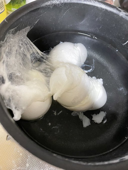 卵茹でるの下手だとクリーチャーを生み出す 