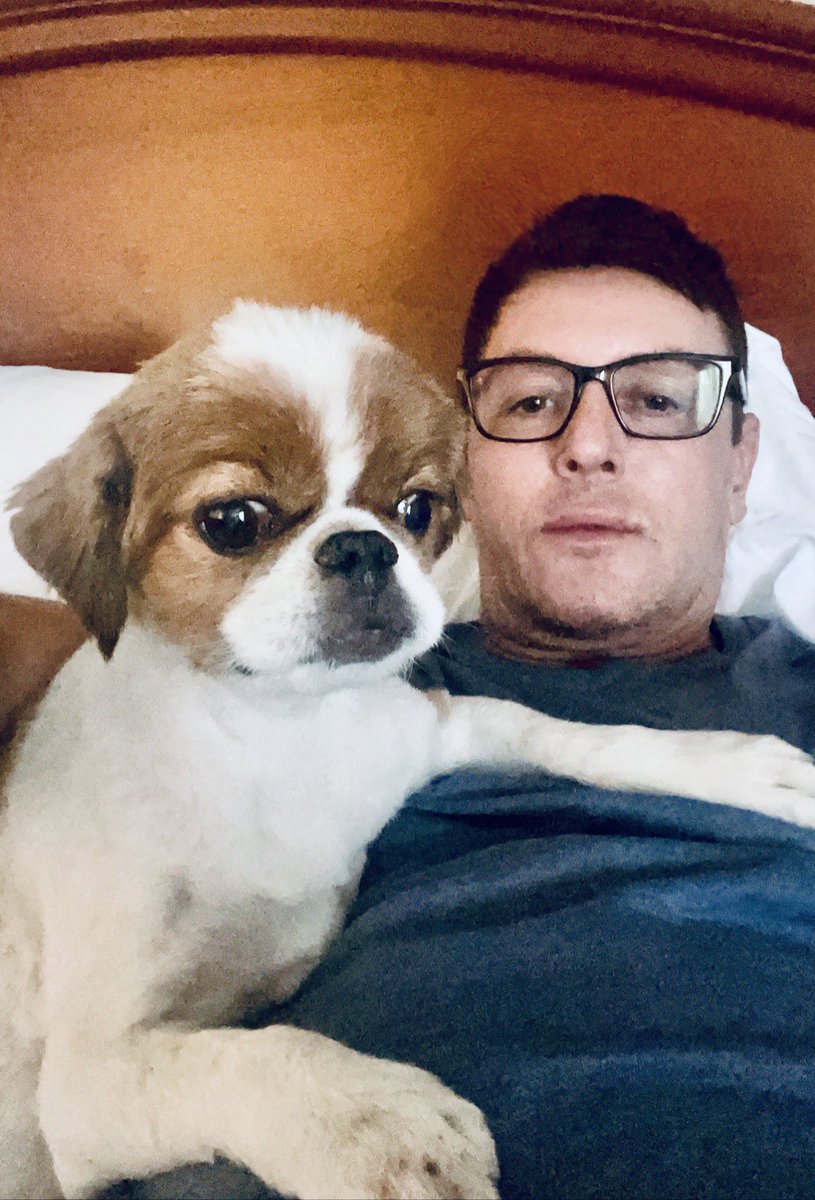 SeanBorgLA's tweet photo. My Japanese Chin โ Eli @SeanBorgLA #seanborg #japanesechin โค๏ธ๐ถ https://t.co/6ygJmRAUao