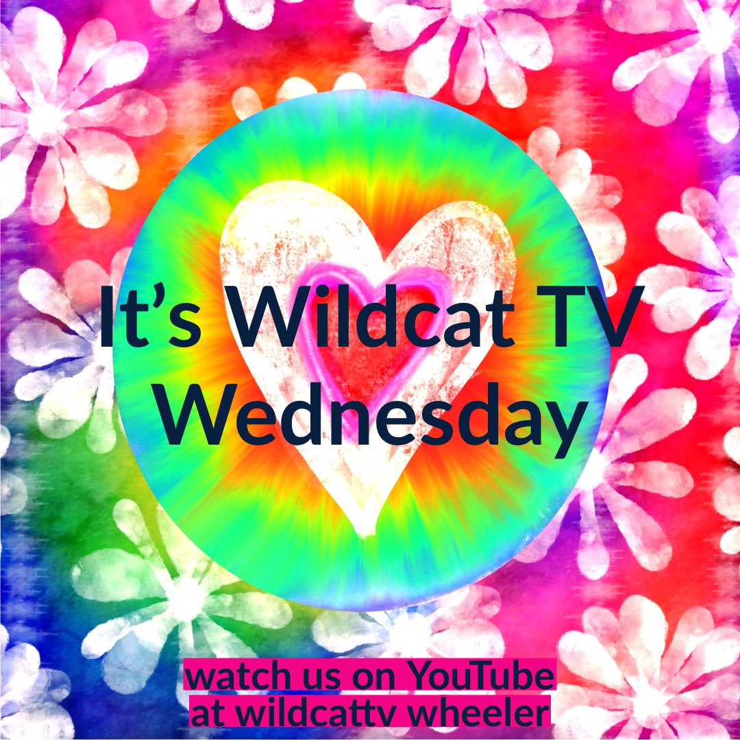 wildcatTV tweet media