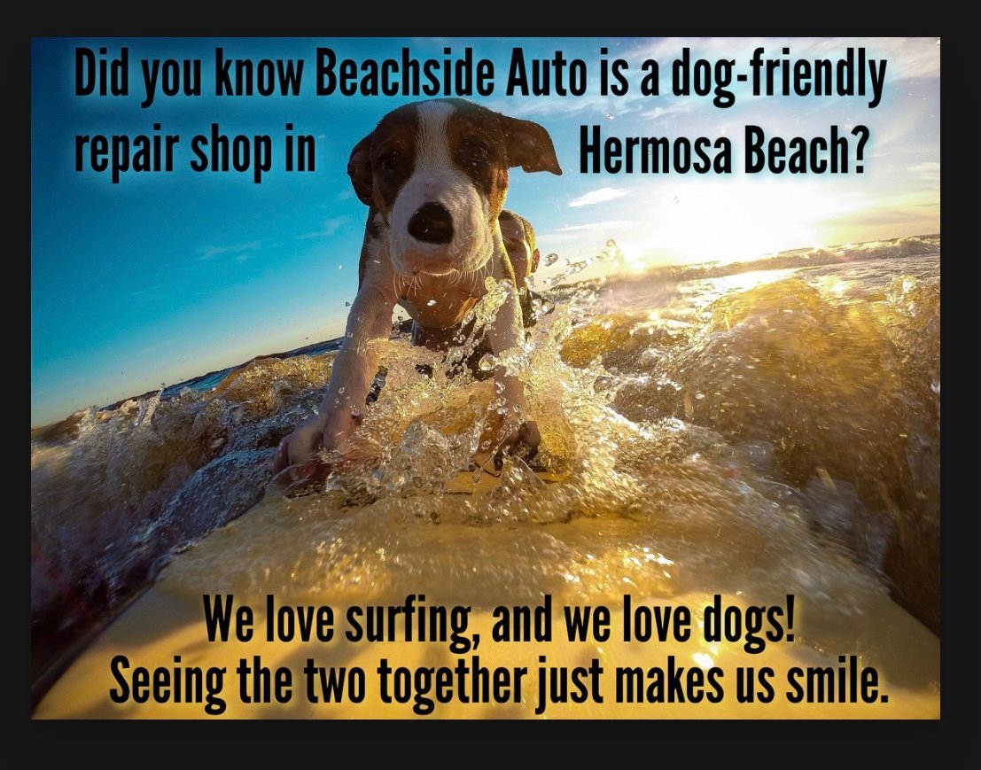 beachside_hb's tweet photo. When you bring your car to Beachside Auto in Hermosa Beach, you can also BYOD: Bring Your Own Dog!
#automechanic
#autorepair
#autorepairnearme
#hermosabeach
#car
#carsofinstagram
#carrepair
#beachsideautohb
#beachsideauto
#hermosabeach
#bestcarrepair https://t.co/ChaZFRNuDR
