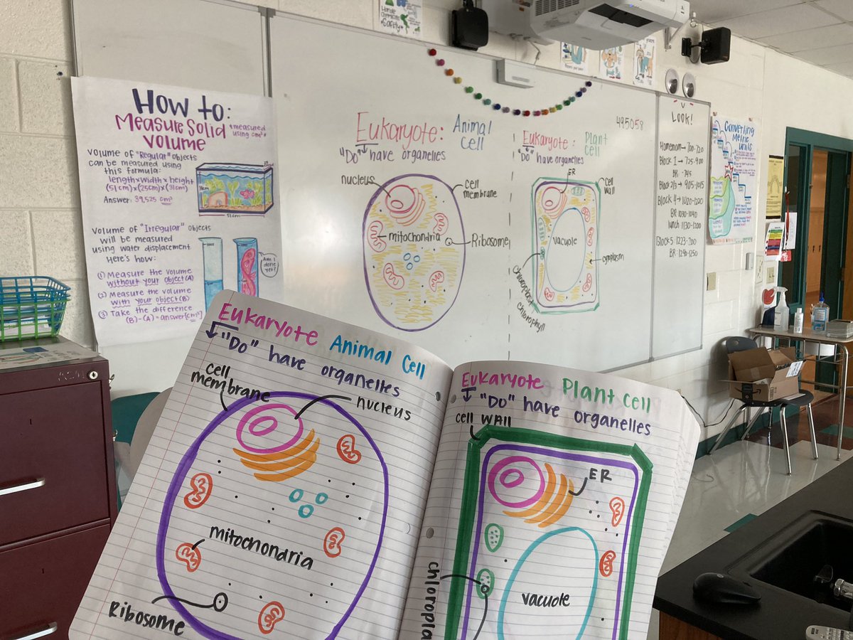 WeirdlySciency's tweet photo. Lots of color in life science today..and drawing! I am TIRED TIRED so this helps lighten things for everyone 🤗 #BuildingthebestSPS #JaguarsROAR https://t.co/VSiBJg195W