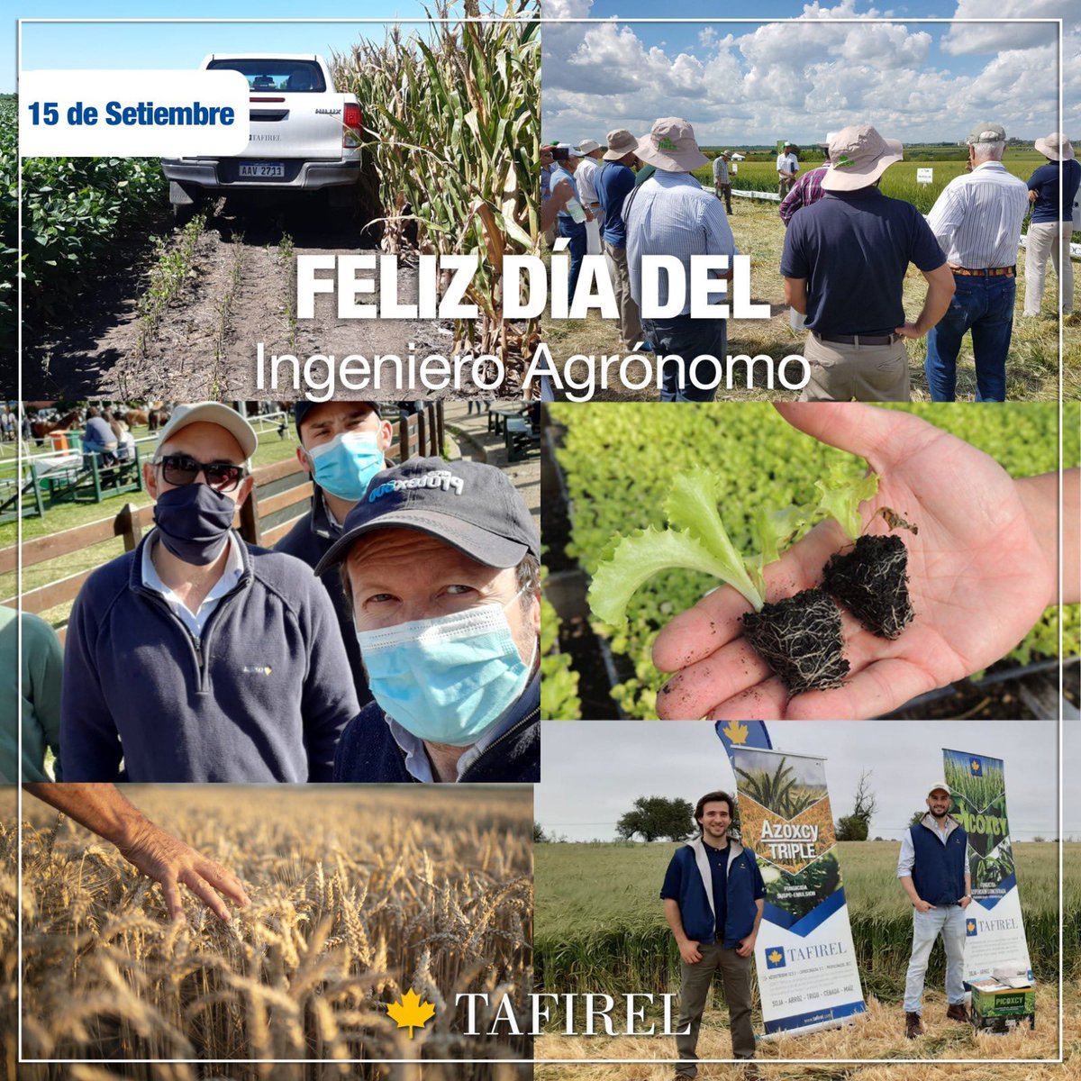 🍃 DÍA DEL INGENIERO AGRÓNOMO 🍃

De parte de todo el equipo de Tafirel saludamos a todos los Ingenieros Agrónomos en su día.

#tafirelavanza
#tafirel , más de 30 años al servicio del productor agropecuario.