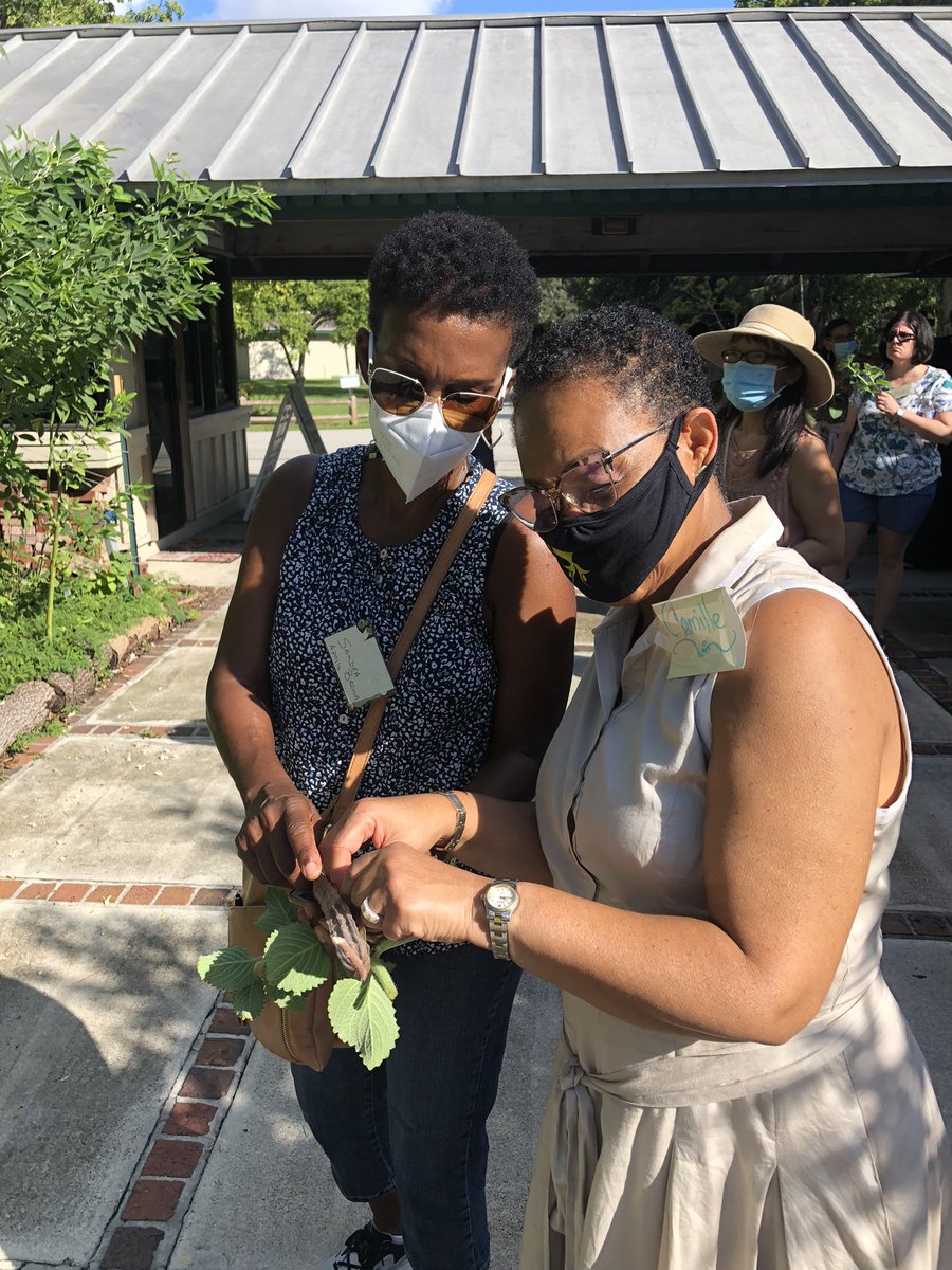 Teach954's tweet photo. Learning never stops! Another lesson in abundance for “me” for Sustainable Florida gardening. Today we plant! #teacherwillreturn #studentsgetready @GlobalCitiesOrg @BrowardEnv @BrowardGlobalS1 @AttucksMS https://t.co/YePcGeFMwz