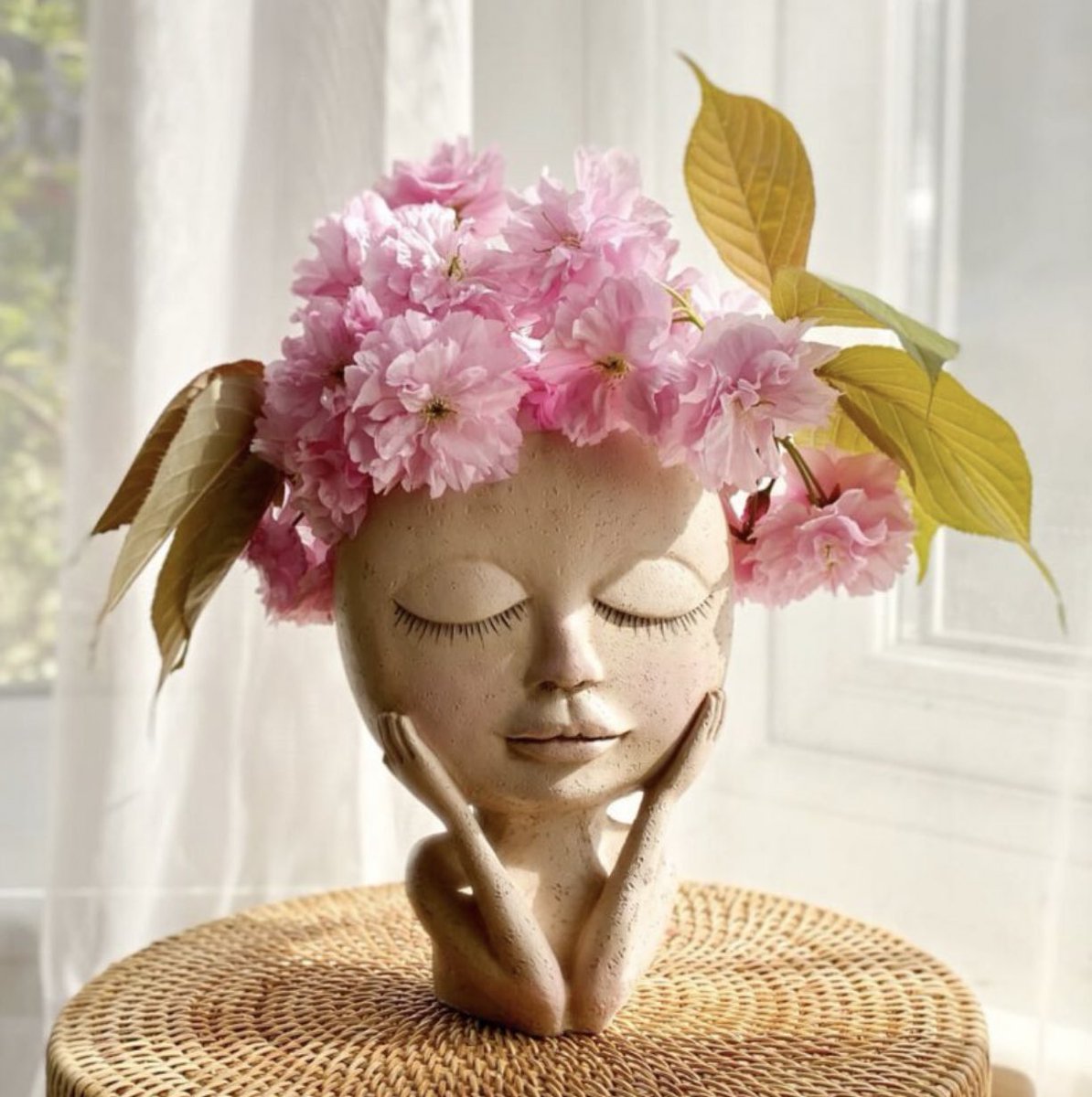 Laurin 🌶️ tweet media