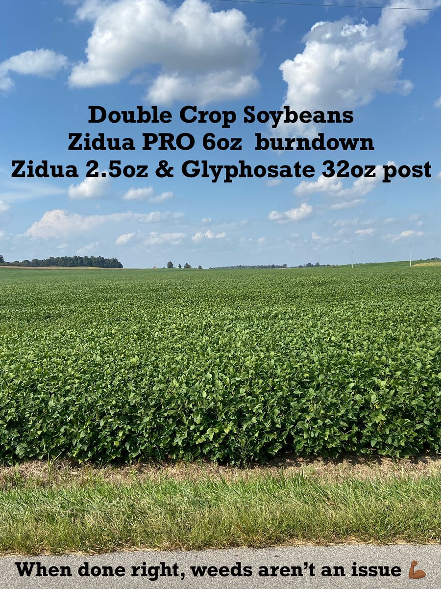 No matter the trait, control your weeds the right way, the first time! Photo taken 9.14.21 SW IN.