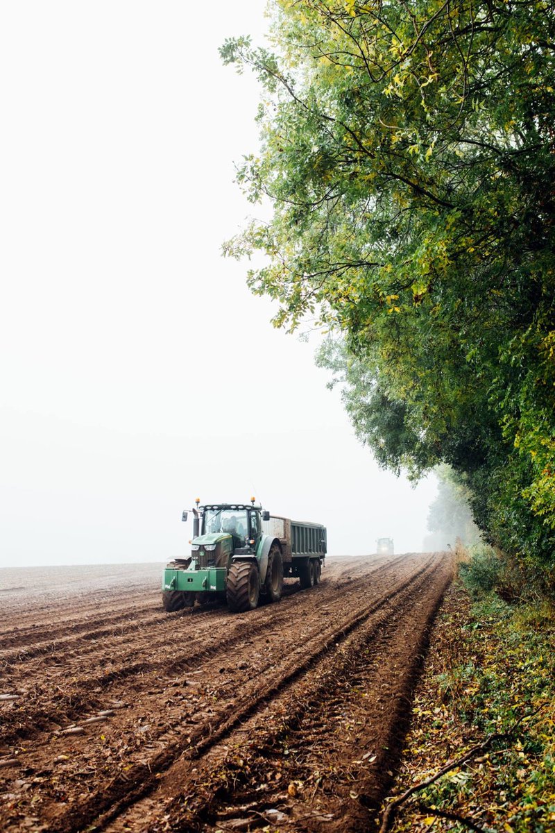 In the UK each person will eat an average of 103kg of potatoes each year. That's 500 medium sized spuds! 🥔 
Here at KETTLE® Chips our farmers take potato growing very seriously because farming isn't just a job, it's a way of life. #BackBritishFarmingDay