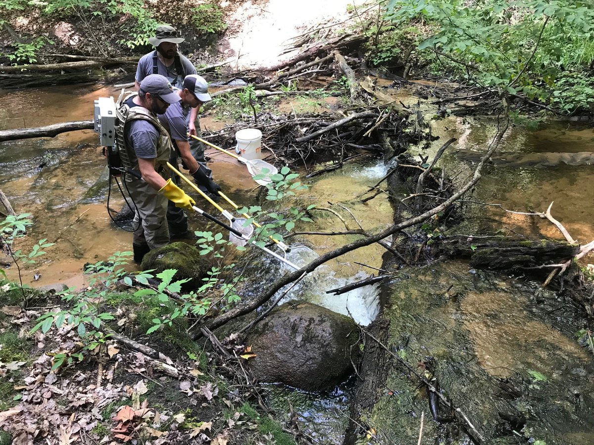 GVSU_AWRI's tweet photo. Summer sampling ended with a unique find on the Boardman River! AWRI #RuetzLab grad student Nick Vander Stelt captured a wild Michigan tiger trout, which is a sterile hybrid between a brook and brown trout. https://t.co/qzx8XXpSlh
