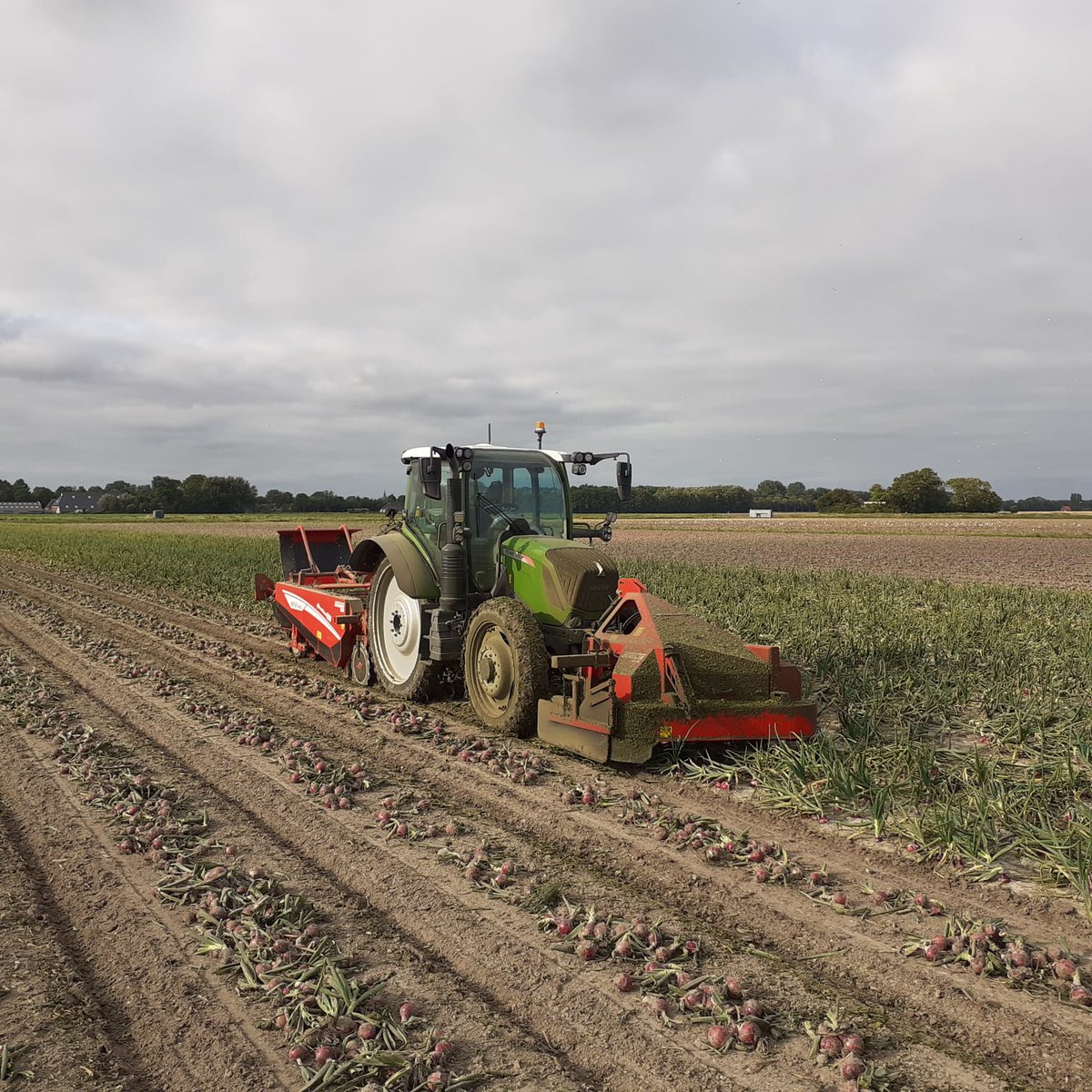 GRIMMEGroup's tweet photo. #RowShow2021
Our WV are also in action for our demonstration tour this year. Here are some impessions from our WV 140 with ASA-LIFT OT in the Netherlands. π§
π³π±
#GRIMME #WV #onions https://t.co/pQSYTVIJ5z